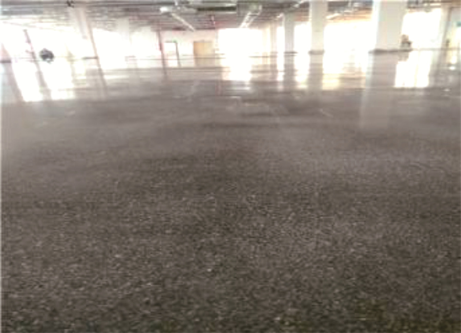 深圳（满京华）